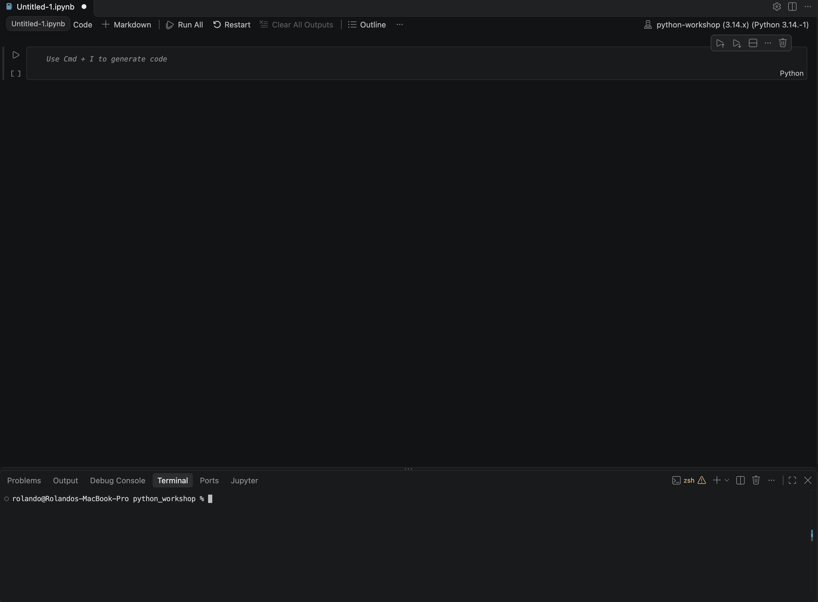 Notebook and Terminal windows on Visual Code Studio.